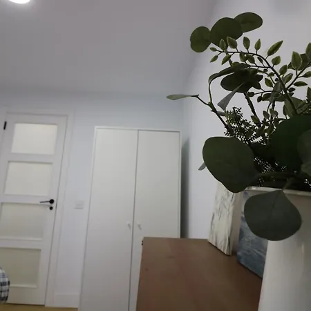 Lovelly Renovated Apartment *